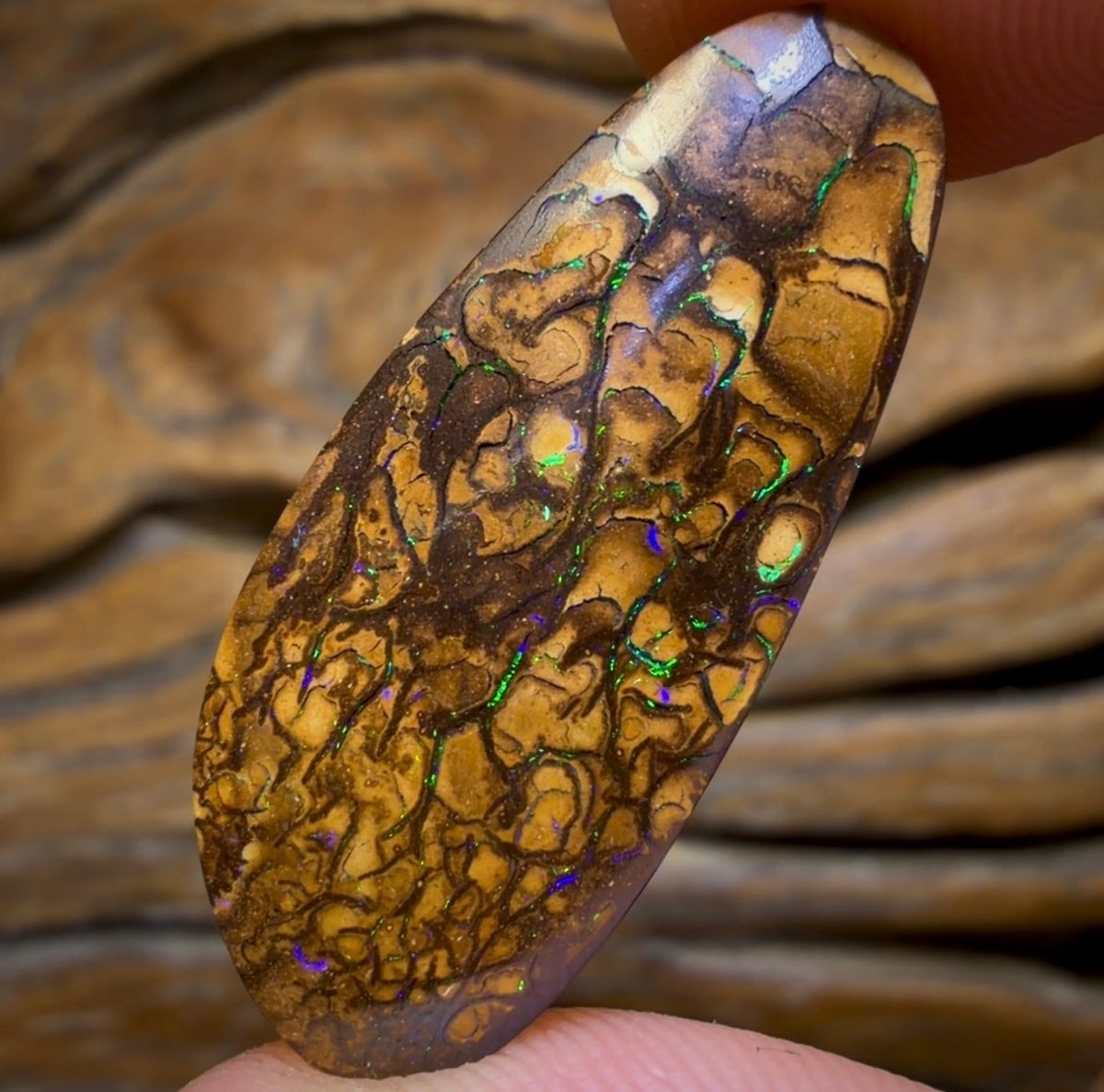 24.9cts - Tan Tribal Yowah Nut Opal. Australian Opal
