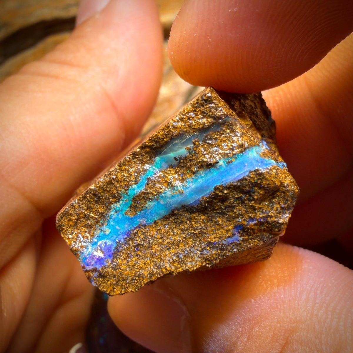 304.1cts – 3x Queensland Boulder-Opal-Rohsteinpaket aus Duck Creek