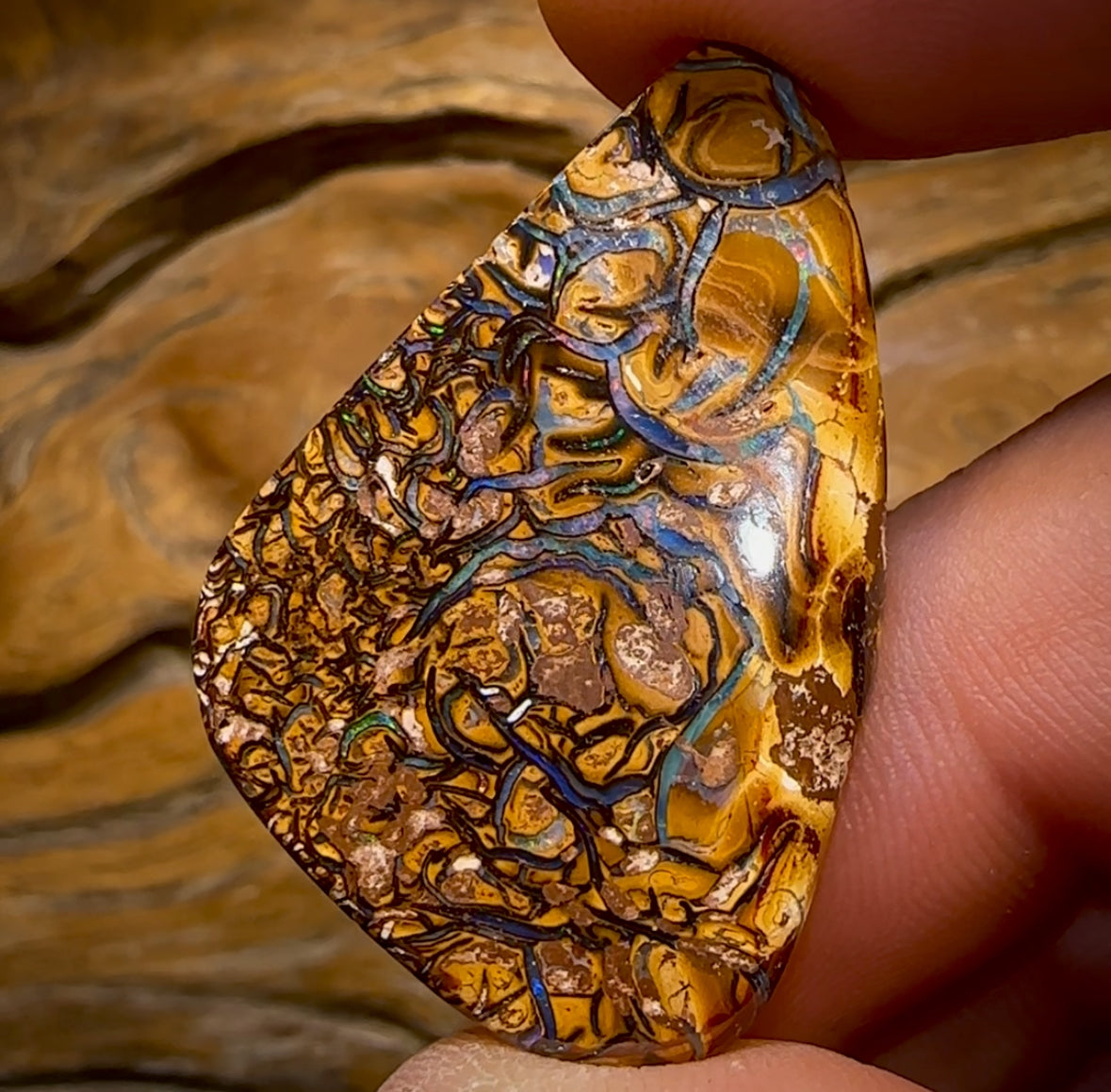 49.4cts - Tribal Queensland Boulder Opal from Yowah