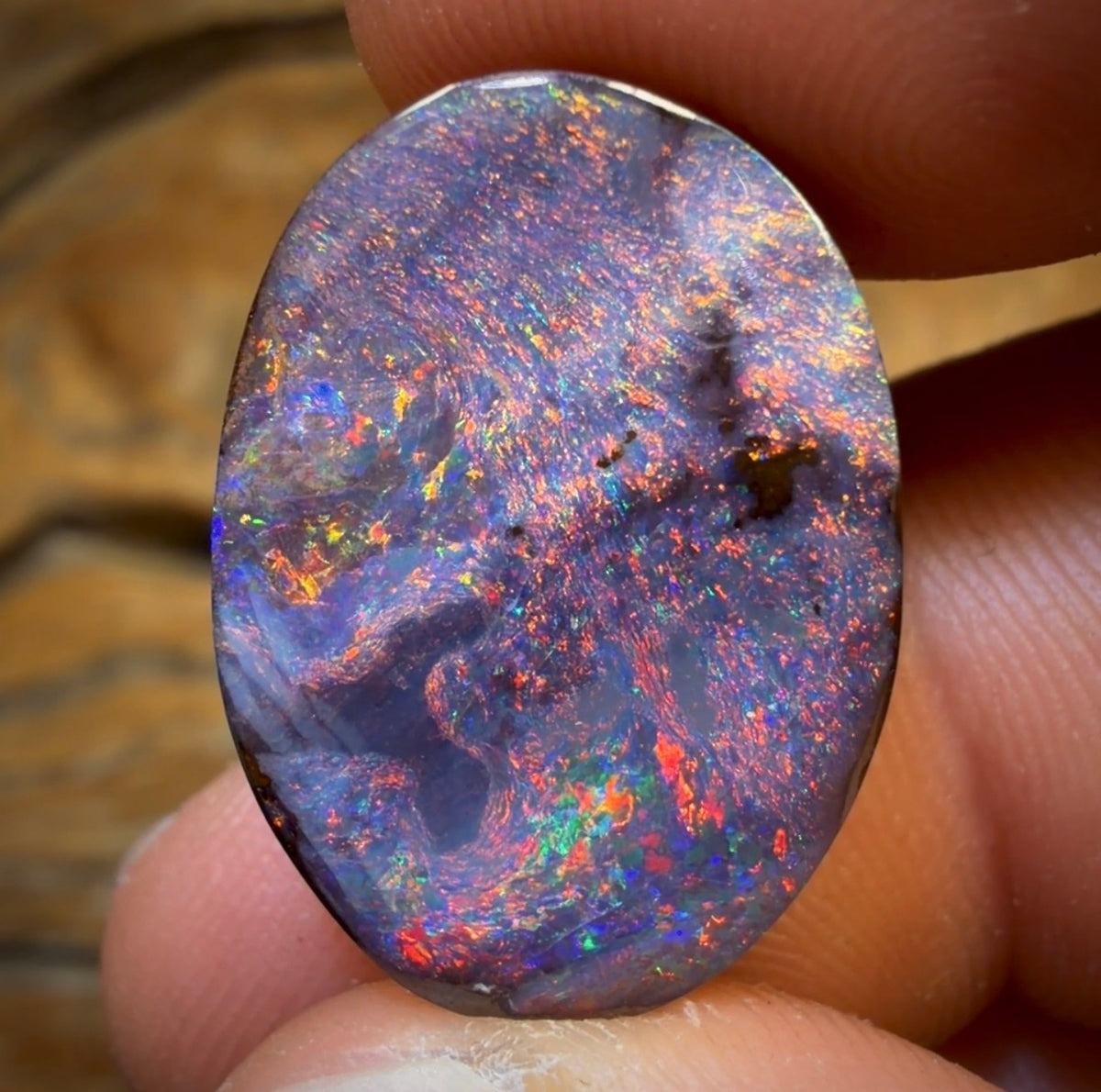 26.1cts -  “Big Red” GEM Queensland Boulder Opal from Koroit. Red Multicolours!!