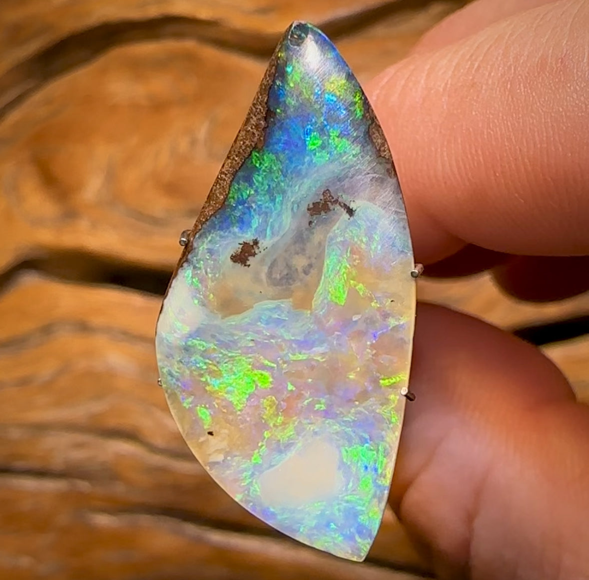 8.55cts - Queensland Boulder Seam Opal Rub