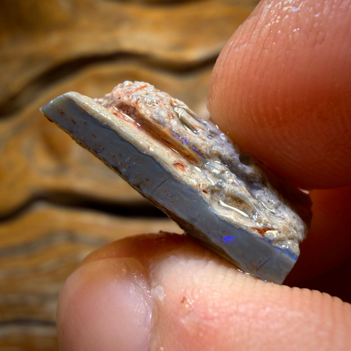 Bargain Card! 13.4cts - Lightning Ridge Dark Opal Rough Piece