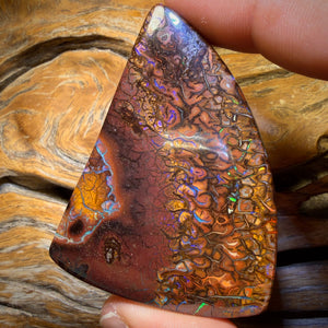 375cts - Huge Tribal Yowah Nut Opal. Double Sided!