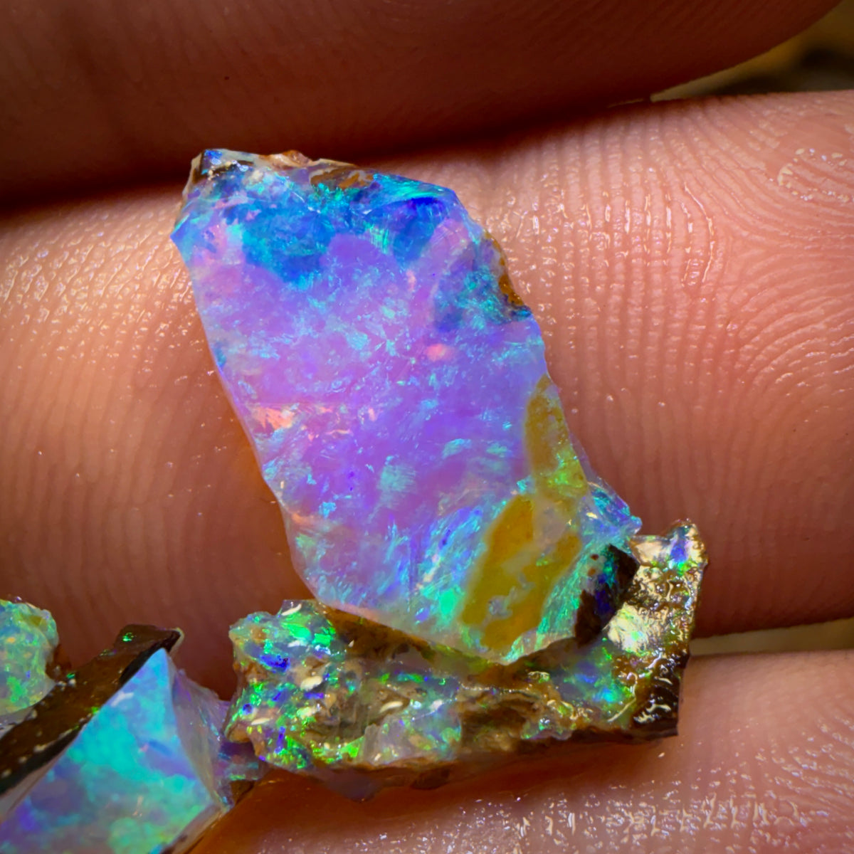 11.2cts - 6x Australian Yowah Wood Fossil Crystal Opal Rough Pieces. Highly Prized Material