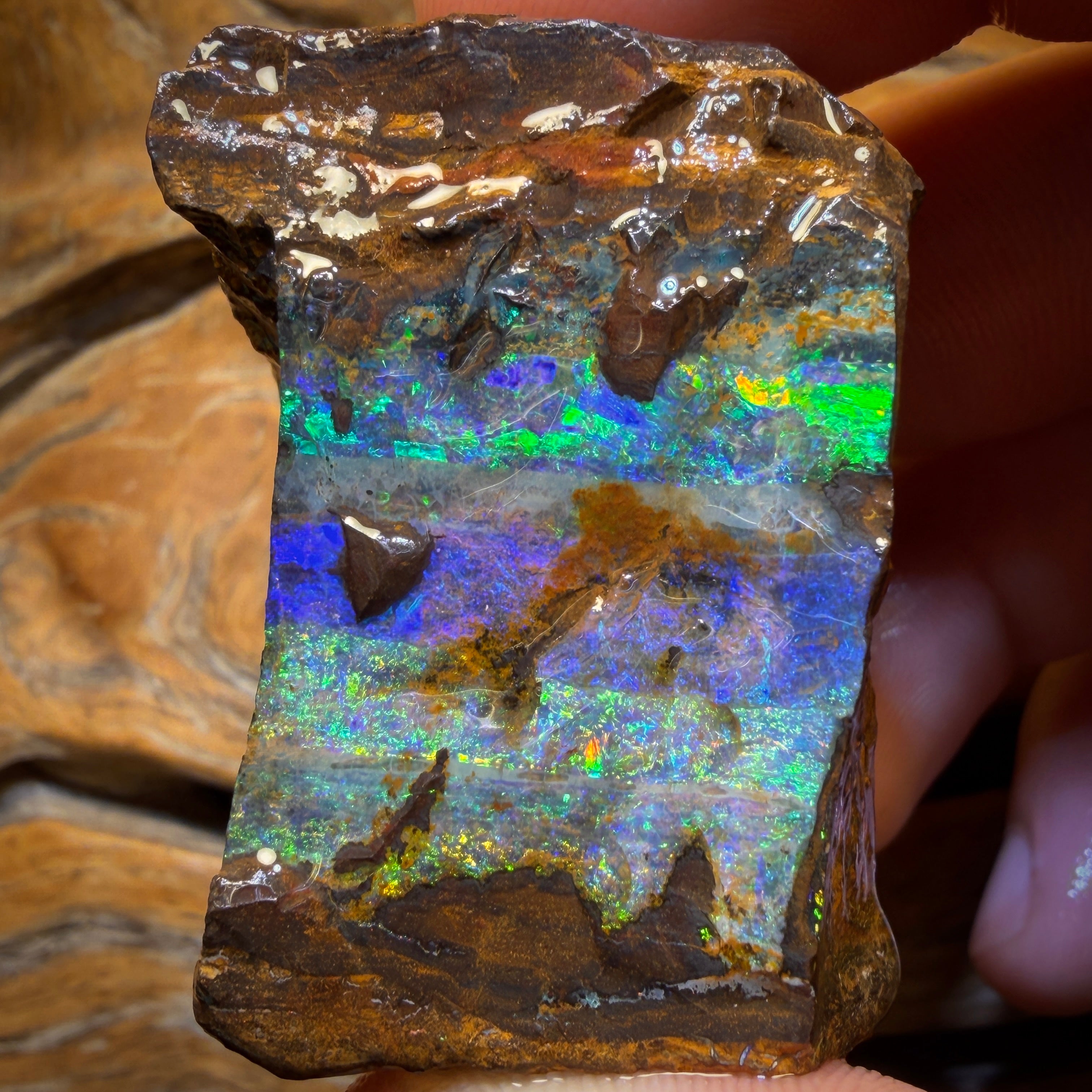 377.3cts - Top Seam + Tribal Queensland Boulder Opal Rough Piece