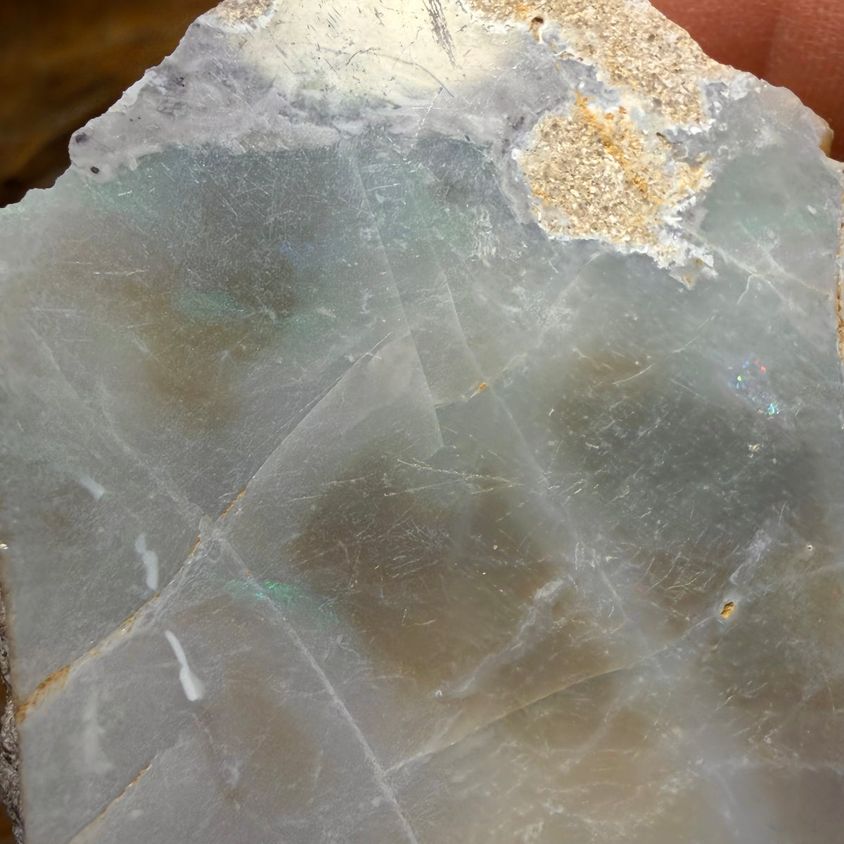 621cts - Südaustralischer Opal Poliertes Exemplar aus Mintabie