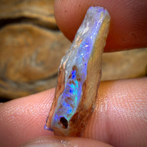 7,1 cts - Lightning Ridge Opal Rohstück. Isaacs Schleifer!