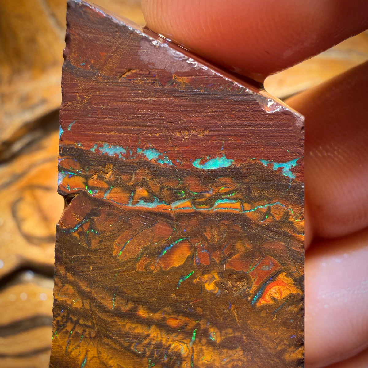 Wild Card! 146.6cts - Tribal Yowah Nut Opal Rough Slab