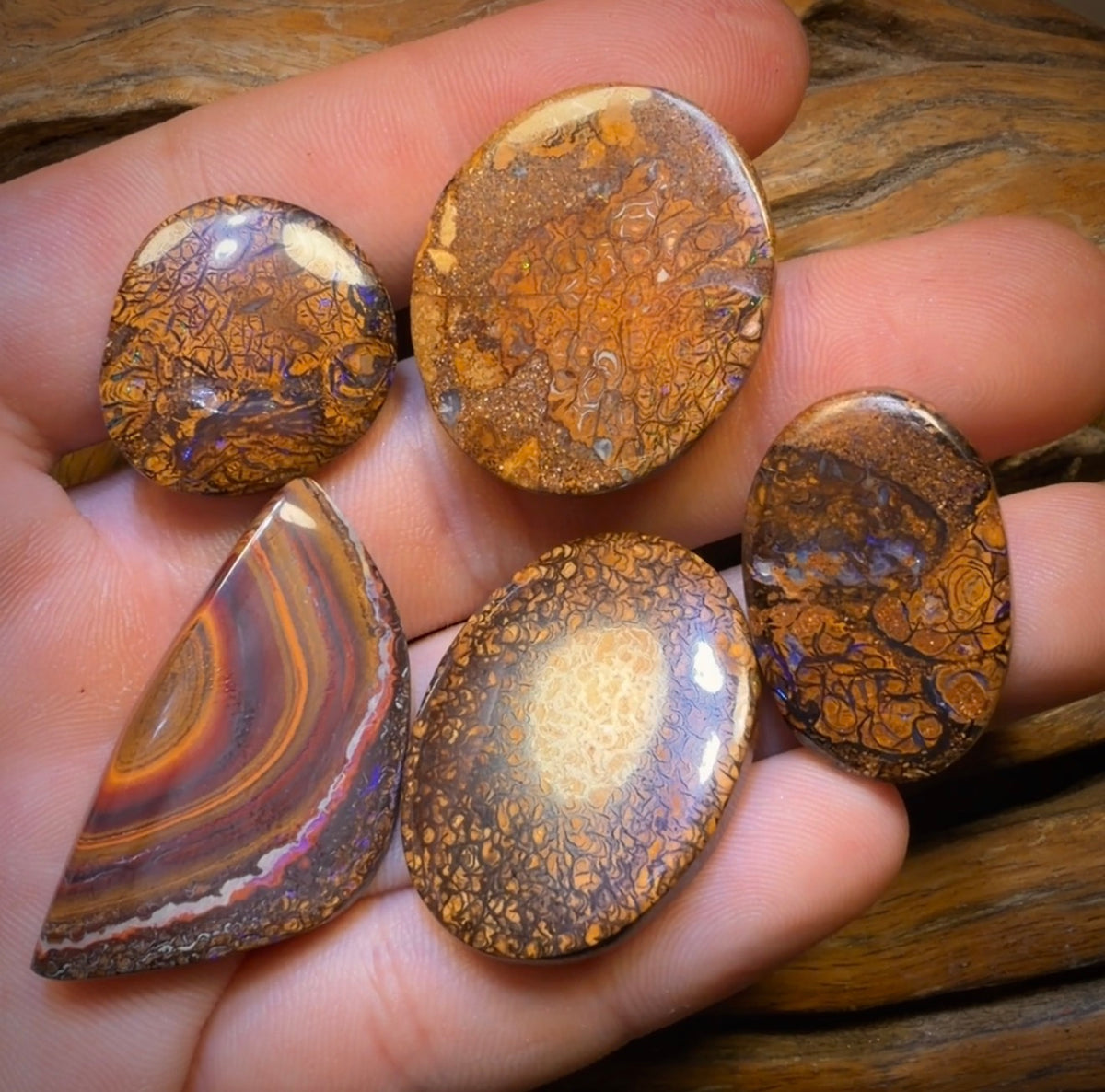 157.1cts - 5x Australian Tribal Boulder Opal’s. Wholesale Dealers Parcel