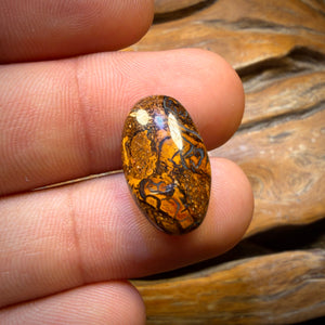 Wild Card! 11.2cts - Tribal Yowah Nut Opal. Australian Opal