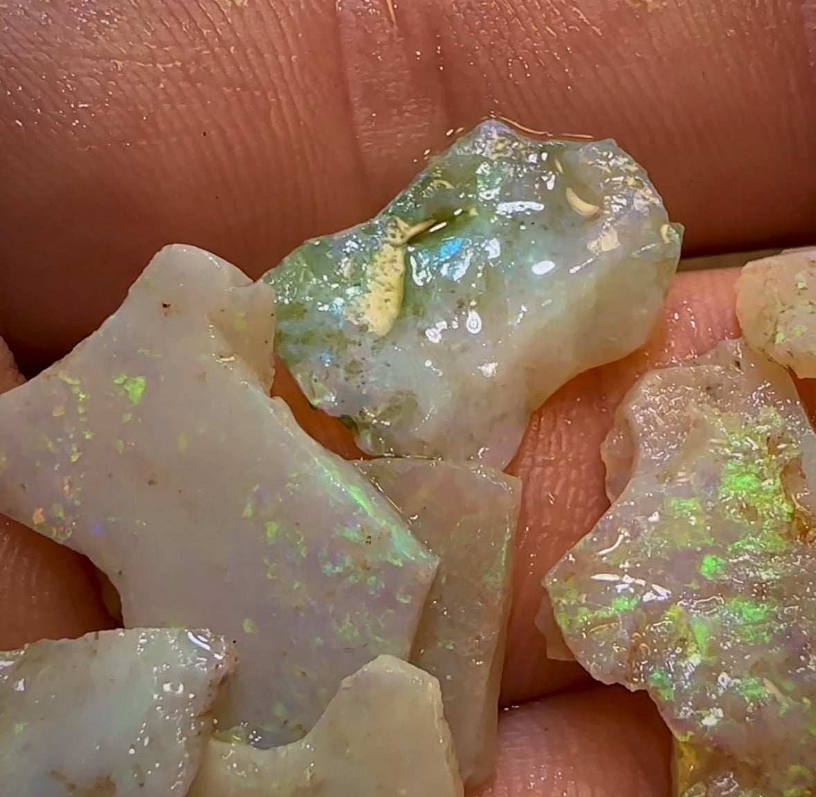 32.8cts - 13x Lightning Ridge Light Opal Rough Parcel