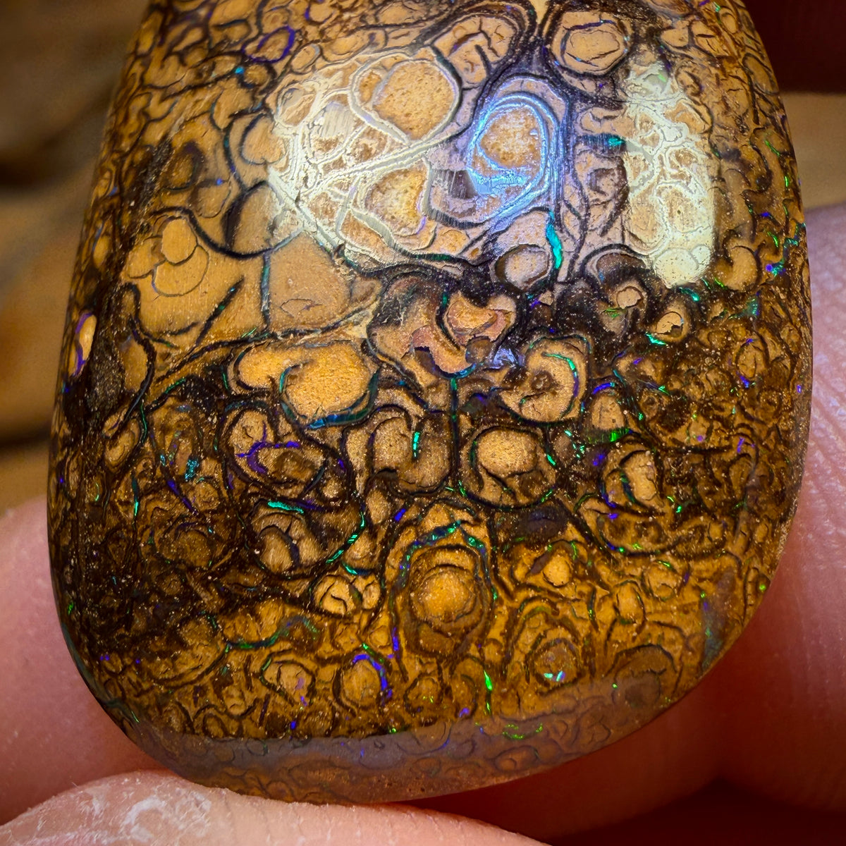 31.7cts - Tan Tribal Queensland Boulder Opal from Yowah