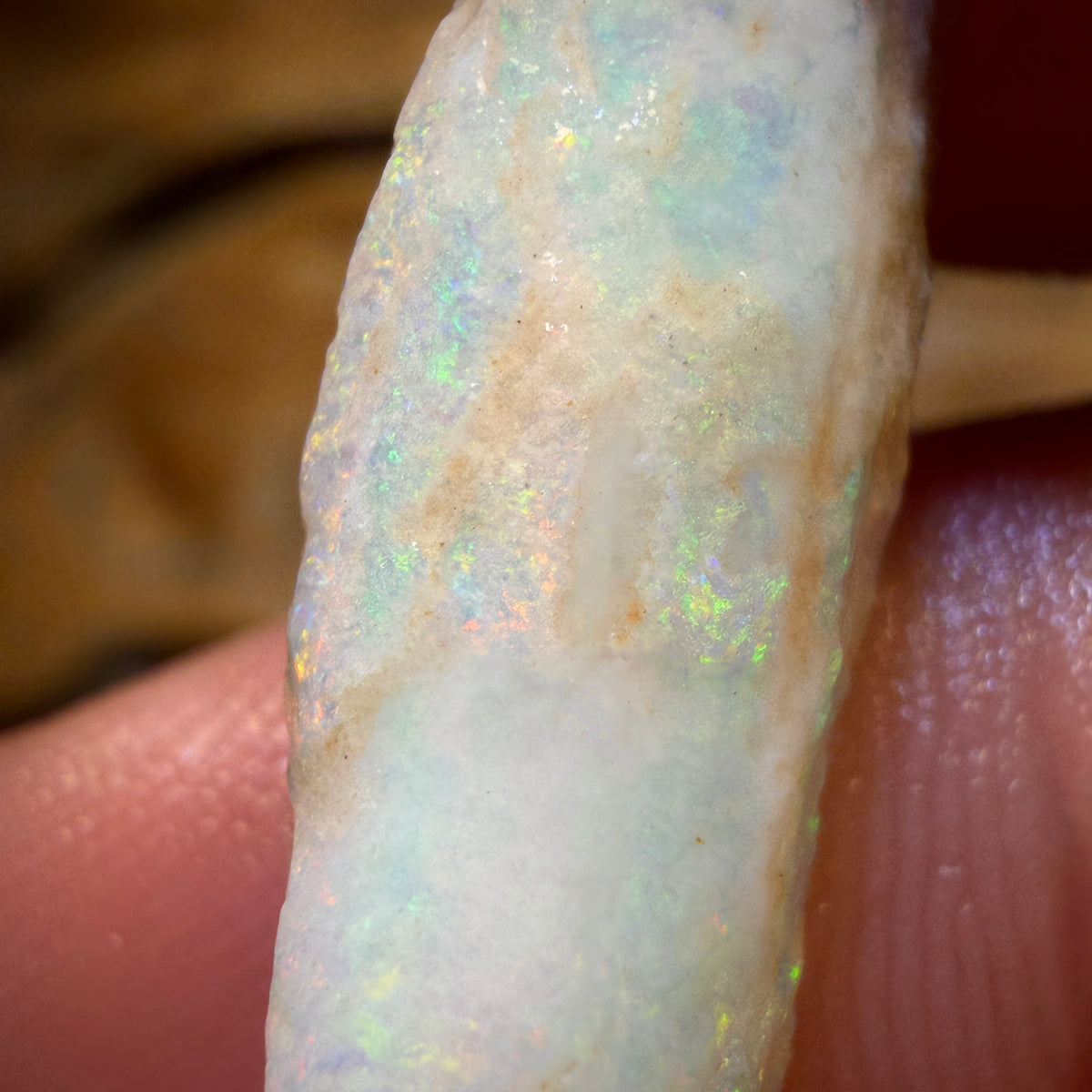 9.9cts - Opalised Belemnite Geological Specimen from South Australia