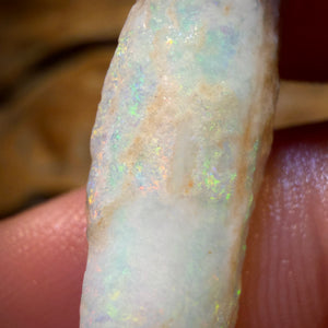 9.9cts - Opalised Belemnite Geological Specimen from South Australia