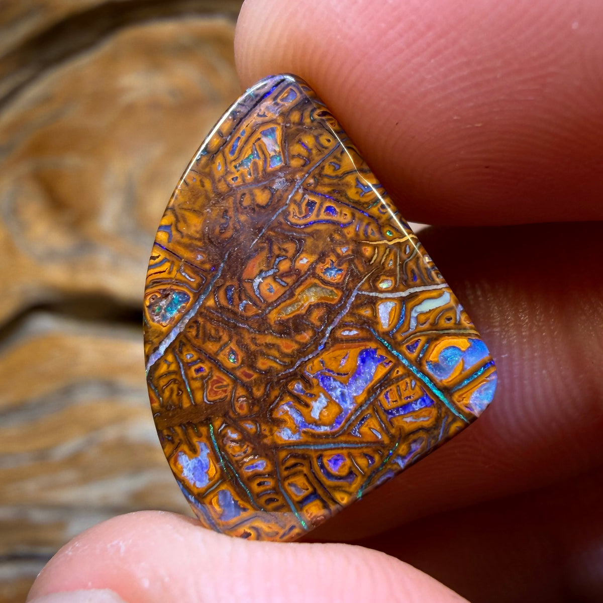 TGIF 13.1cts - Tribal Yowah Nut Opal. Australian Opal