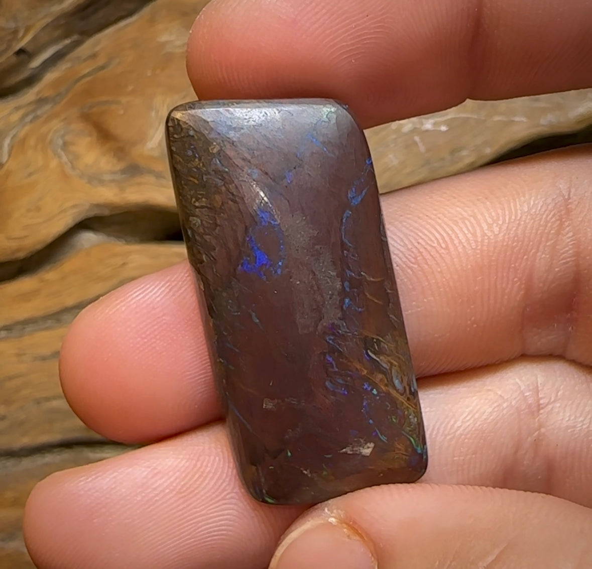 48.3cts - Tribal Pattern Electric Koroit Nut Opal - Opal Whisperers