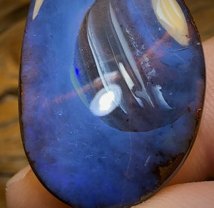 🔨 AUCTION 🔨 “Discus Fish” 34 x 21mm - Drilled Queensland Boulder Opal