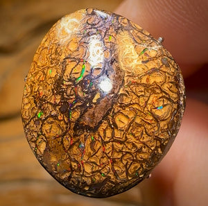 12.3cts - Tan Tribal Yowah Nut Opal. Multicolours!