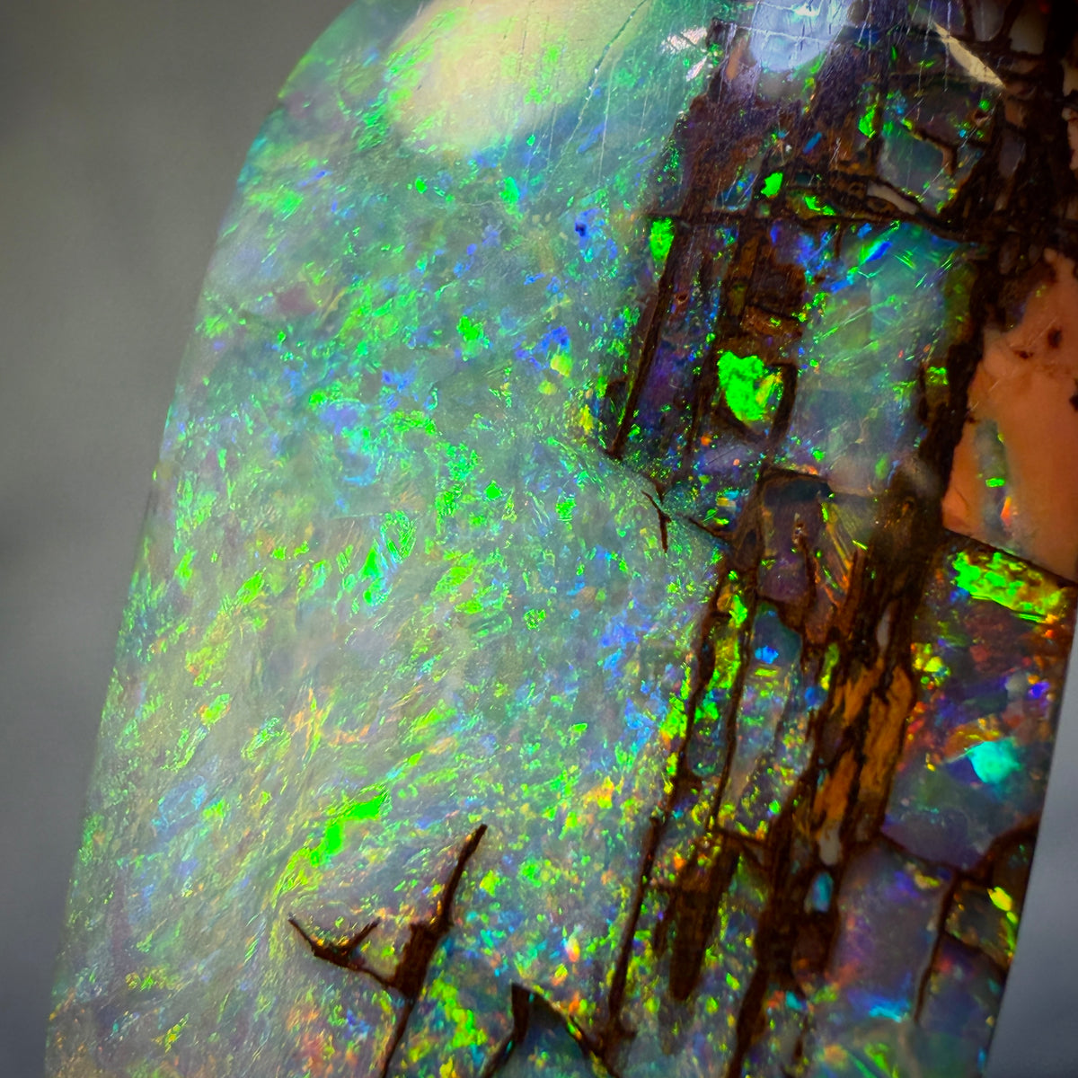 “Set in Stone” - Private Collector Investment - 12.6cts - TOP Gem Wood Fossil Replacement Opal from Yowah. Featured on “Outback Opal Hunters”!