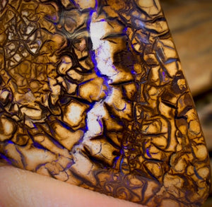 Dad Card! 27.1cts - Tan Tribal Black Gate Magic Nut Opal. Australian Opal