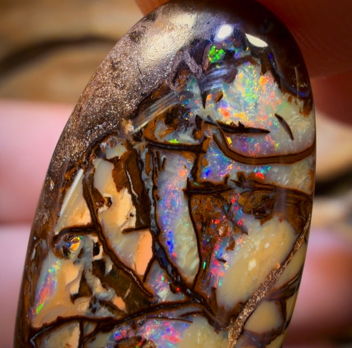 33.1cts - Cathedral AKA Stained Glass Window Australian Boulder Wood Fossil Opal Pair