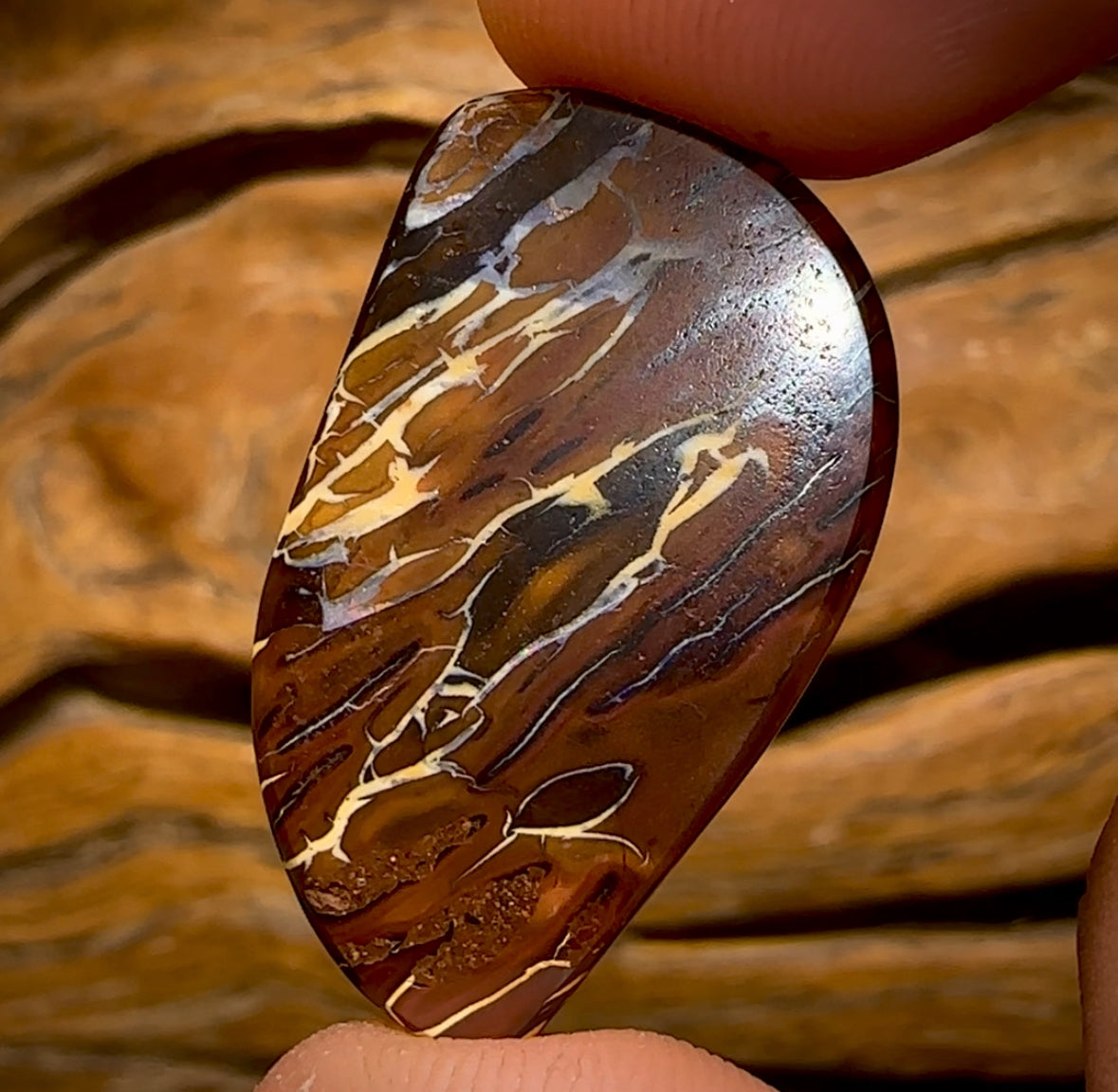 35.5cts - Tribal Queensland Boulder Opal from Koroit