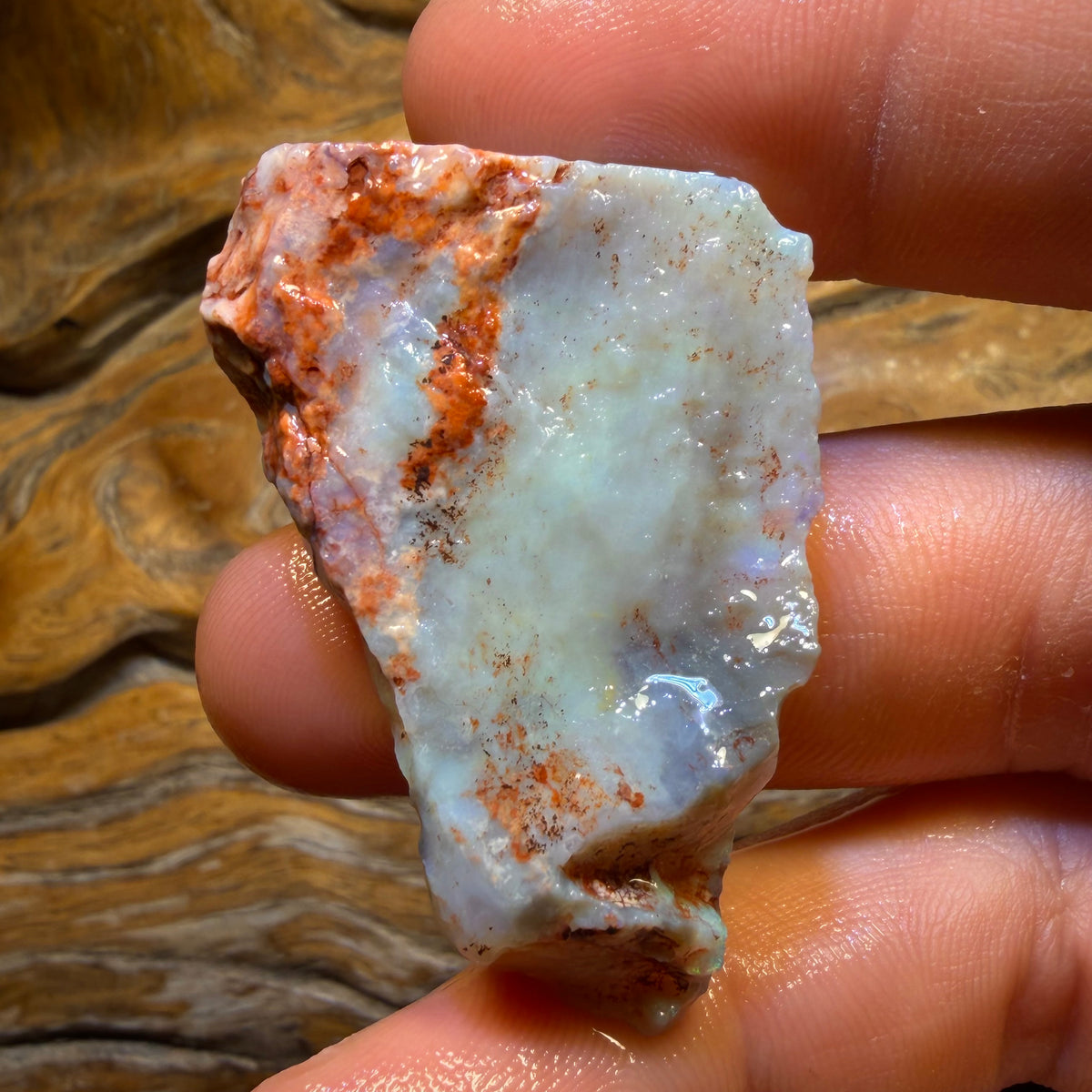 Bargain Card! 57.7cts - Lightning Ridge Dark Opal Rough Piece