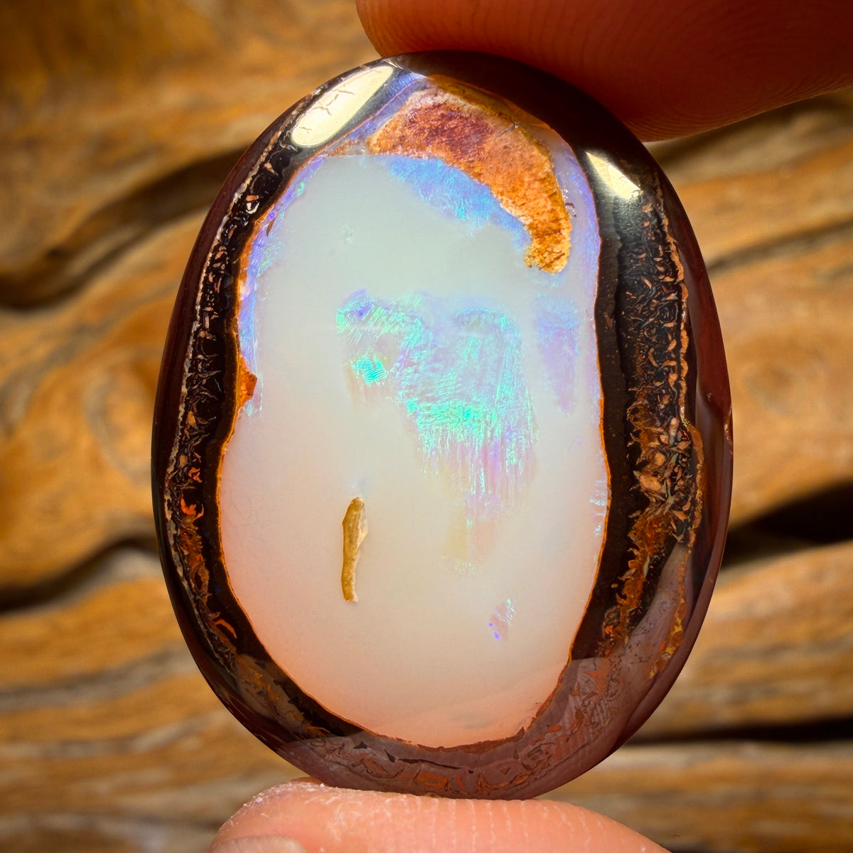 38.2cts - Yowah Nut Crysyal Centre Opal. Australian Boulder Opal