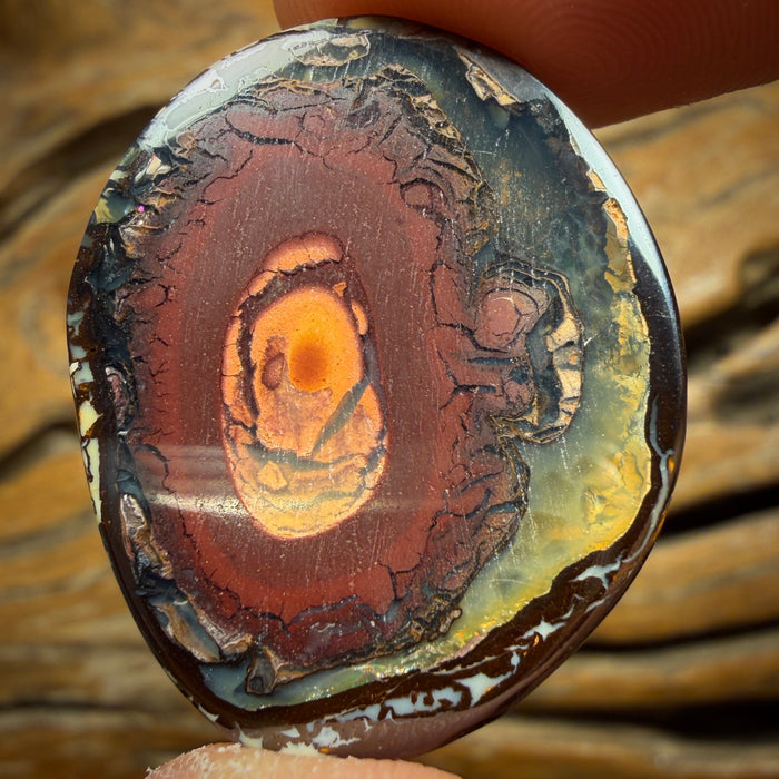 38.2cts - Yowah Nut Kernel Opal. Australian Boulder Opal