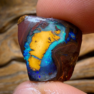 HDW 38.3cts - Partial Yowah Nut Crystal Centre Opal Rough Piece