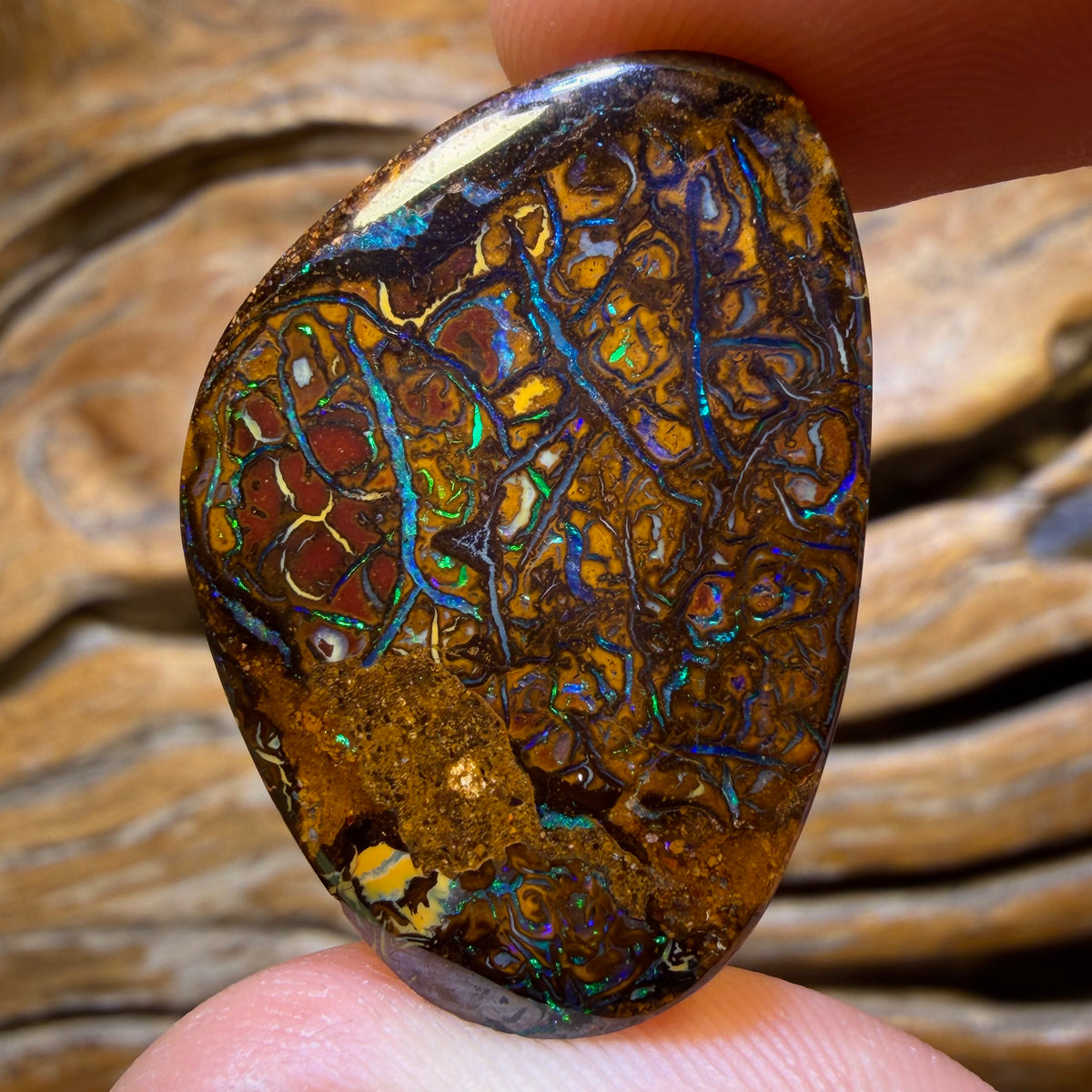 38.5cts - Tribal Queensland Boulder Opal from Yowah