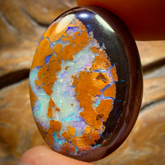 38.6cts - Australian Boulder Opal from Yowah