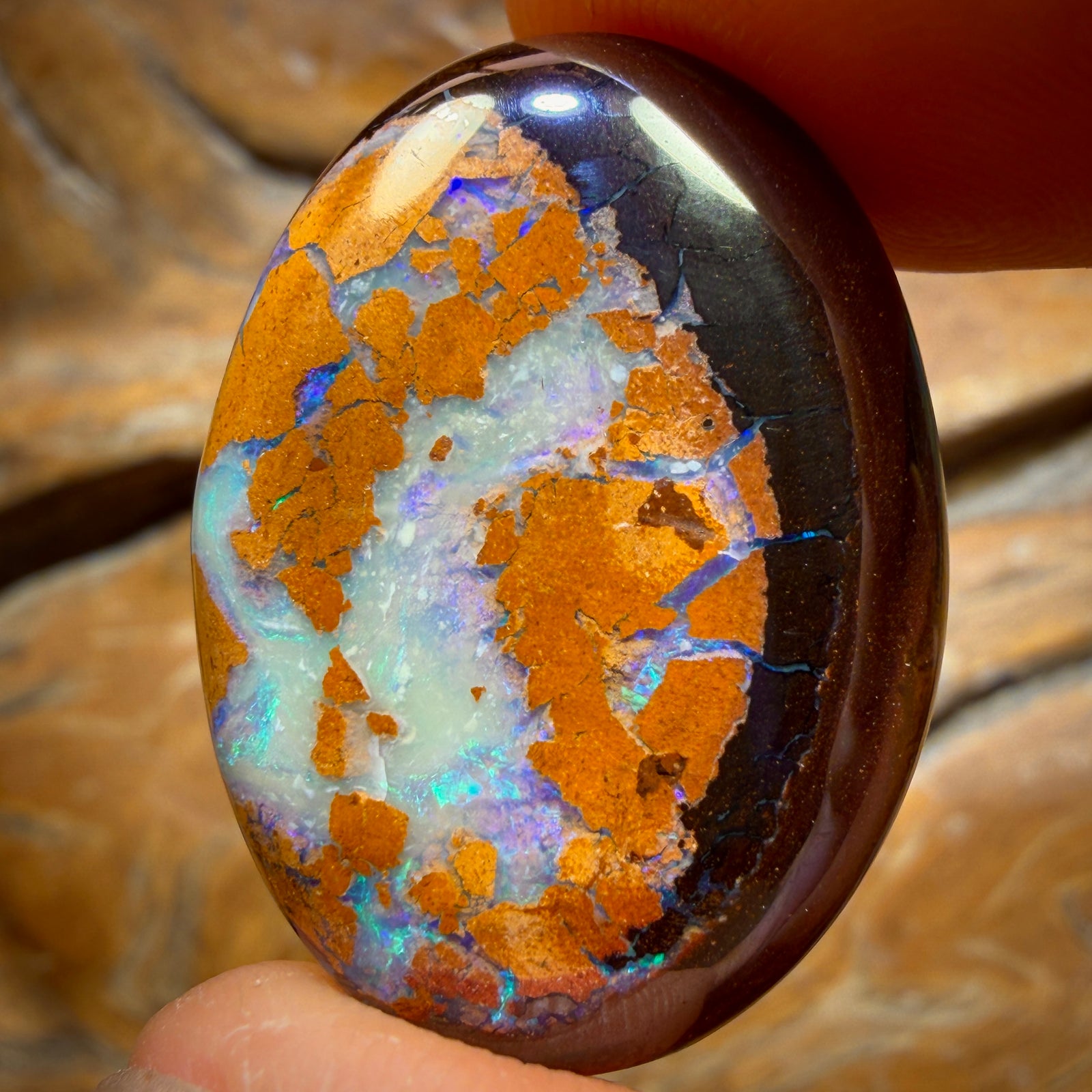 38.6cts - Australian Boulder Opal from Yowah