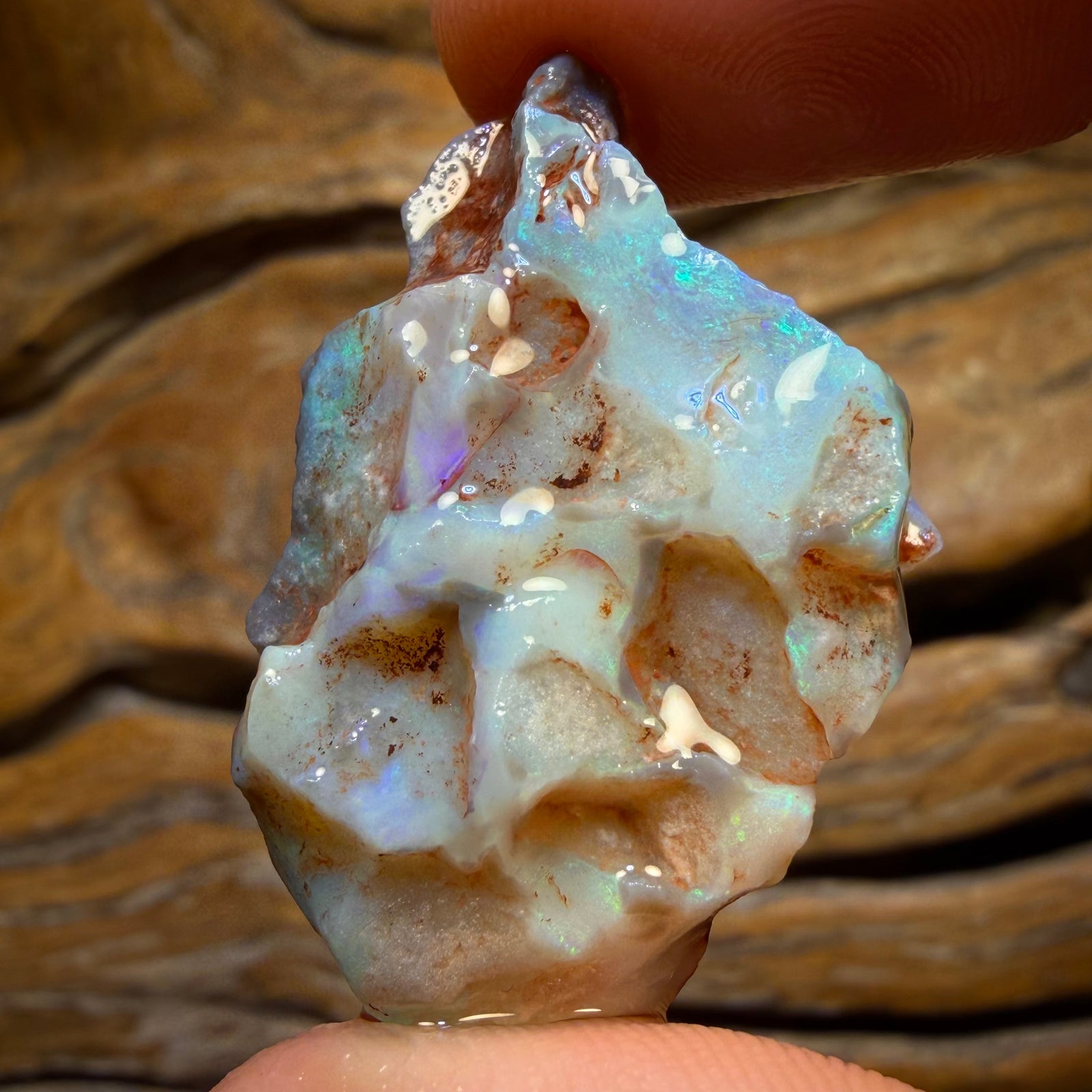 38.7cts - Lightning Ridge Dark Opal Rough Piece