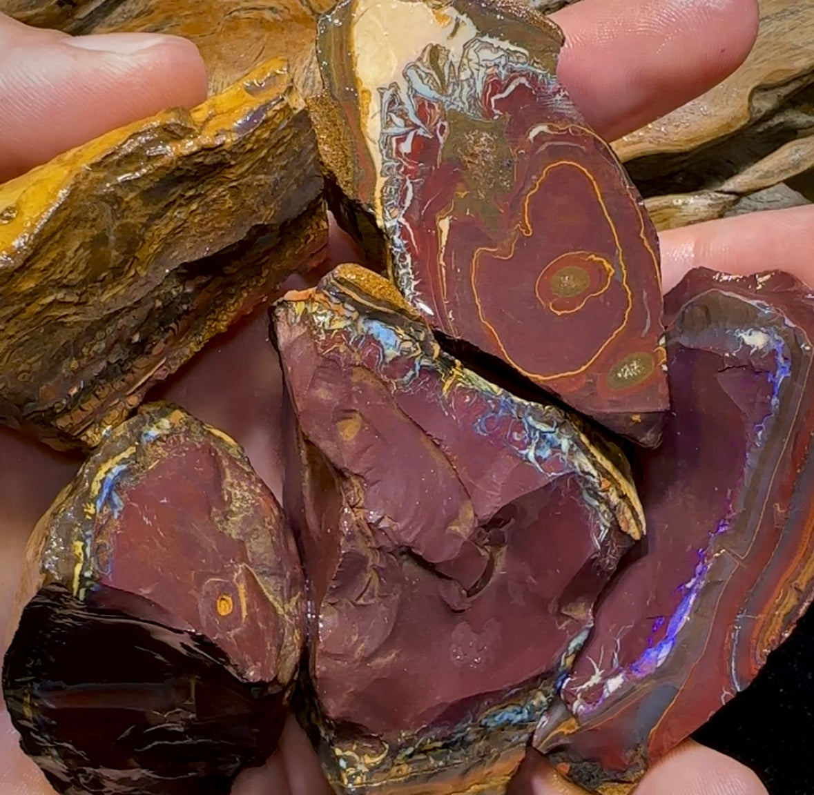 400.4g- 5x Large Queensland Boulder Opal Rough Pieces - Opal Whisperers