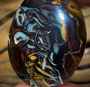 Auction Fall-Through = Your Gain! 🔥 Now More Than 50% Off RRP 🚨 51.8cts - Queensland Boulder Opal from Koroit