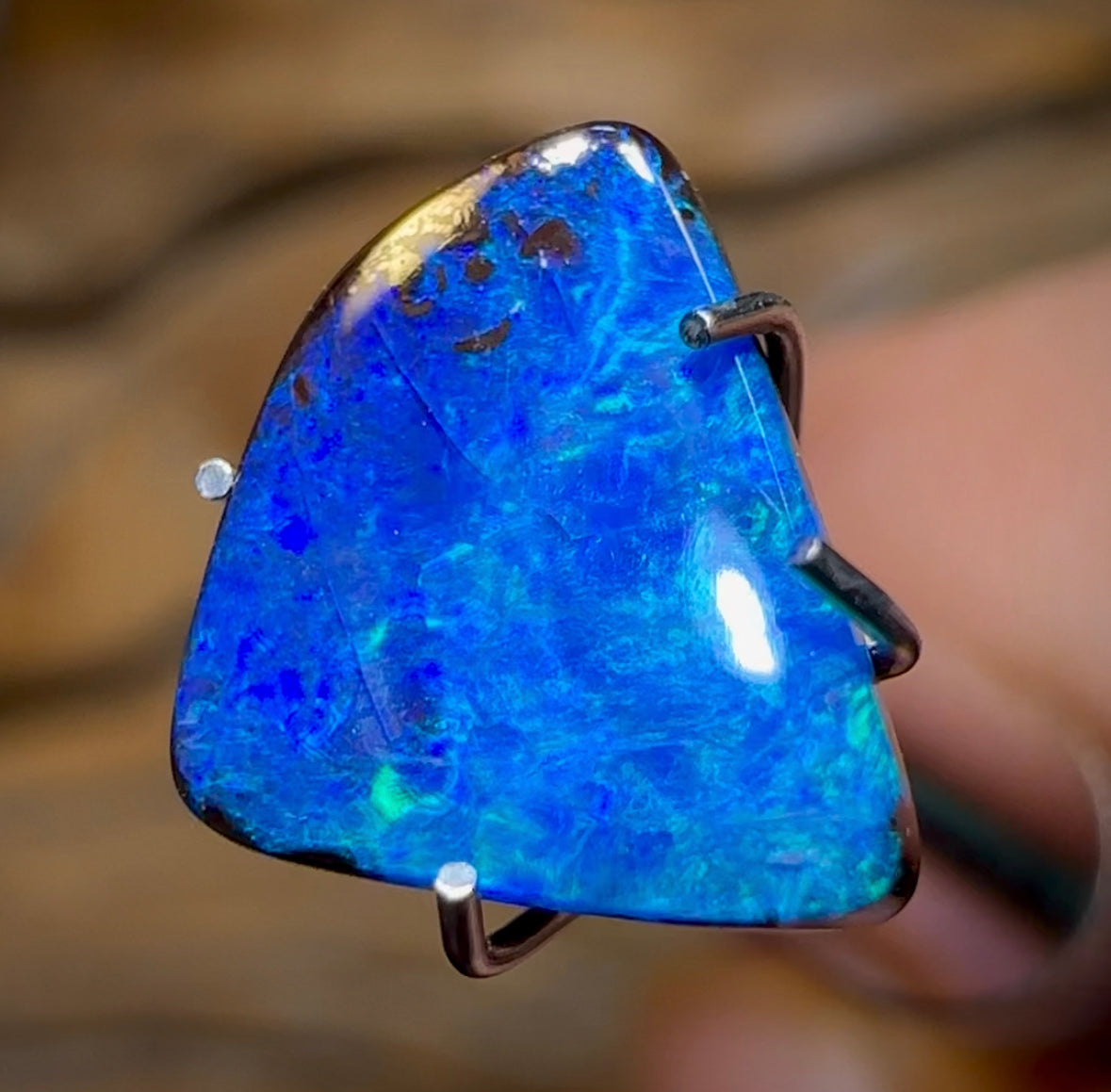 2.1cts - Queensland Boulder Opal from Winton - Opal Whisperers