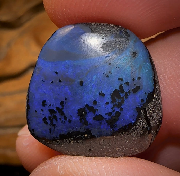 🔨 AUCTION 🔨 16.7cts - Queensland Boulder Seam Opal Picture Stone