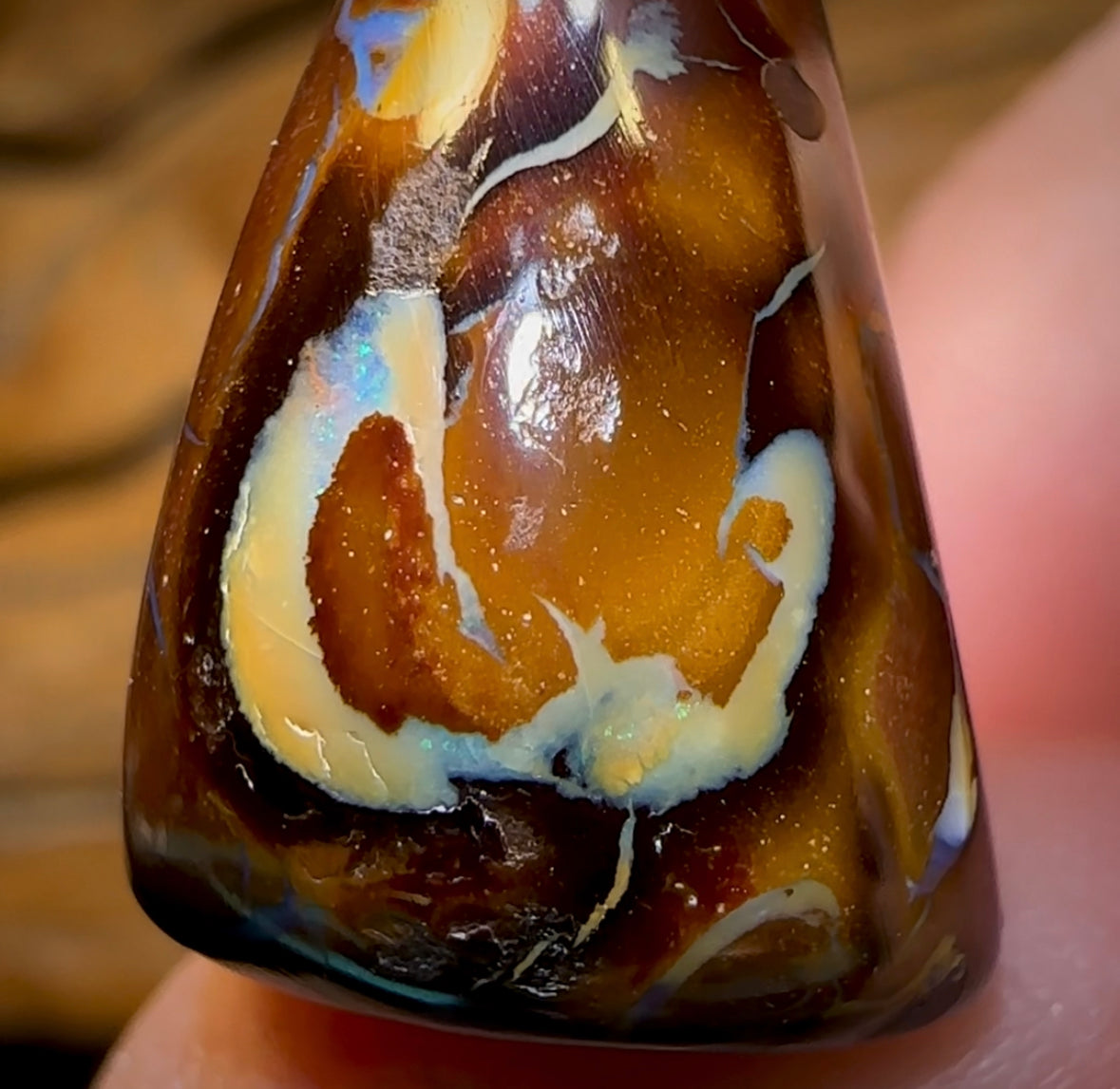 37.2cts - “ Coffee Kernel Frog ” Yowah Nut Polished Specimen Picture Stone