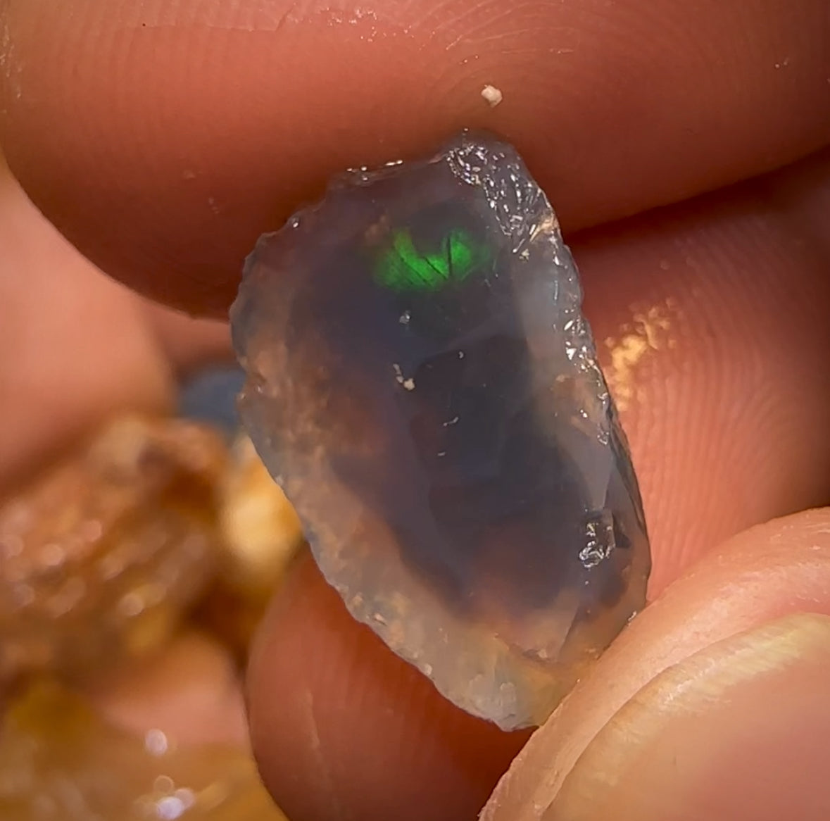 123cts - 9x Opalised Shell Geological Specimens from Lightning Ridge