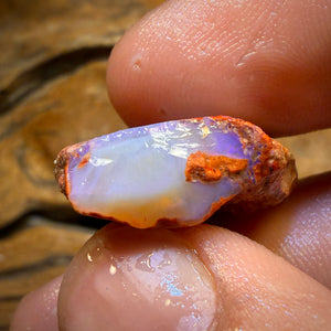 30.9cts - Boulder Pipe Opal Rough Piece. Australian Opal