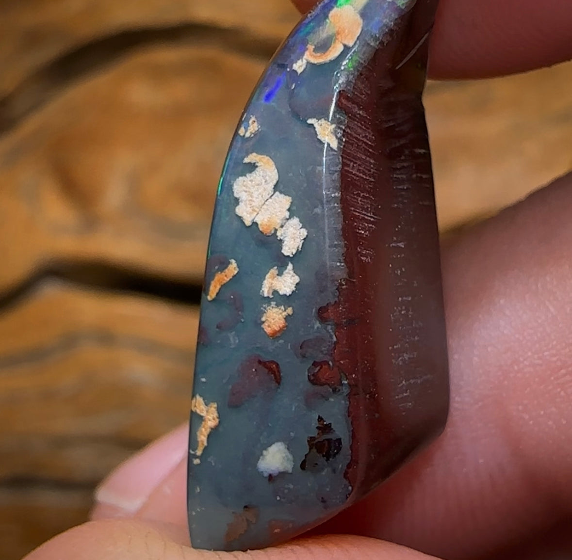 25.1cts - Queensland Boulder Opal from Koroit