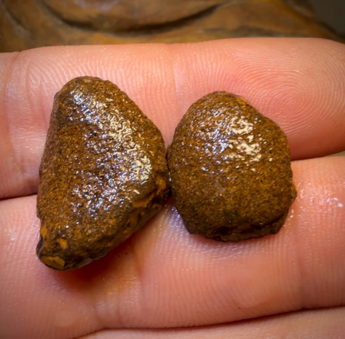 OpalFest Wildcard 40% Off 24.9cts - Yowah Nut Partial Crystal Centre Rough Specimen Pair