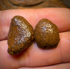 OpalFest Wildcard 40% Off 24.9cts - Yowah Nut Partial Crystal Centre Rough Specimen Pair