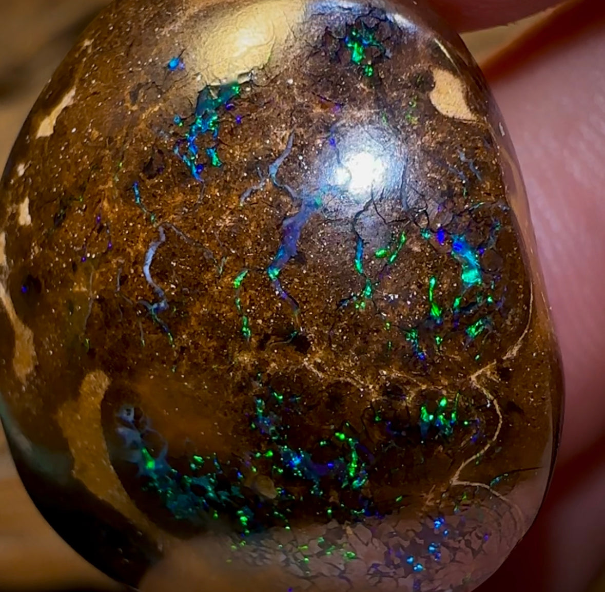 57.6cts - Bubble Band Opal Specimen from Winton