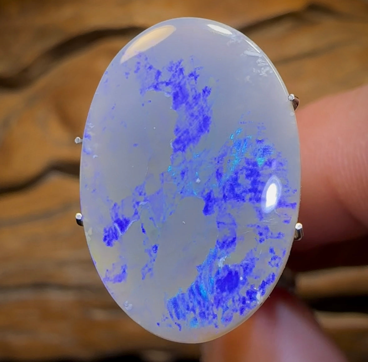 5.6cts - Lightning Ridge Dark Opal - Opal Whisperers