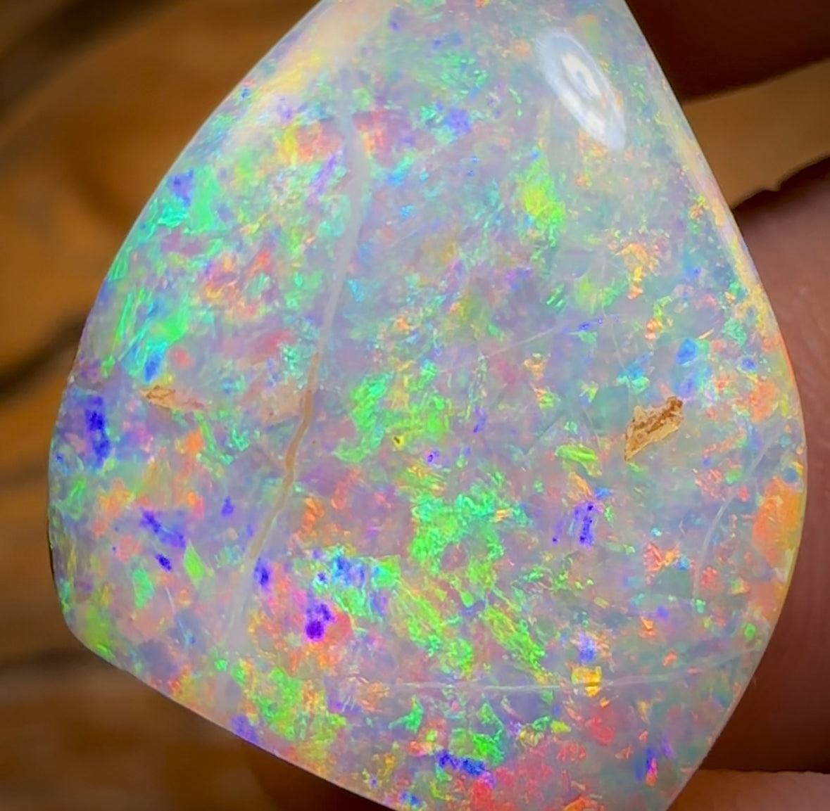 27.2cts - TOP GEM Australian Boulder Wood Fossil Opal From Yowah. Red Multicolours!