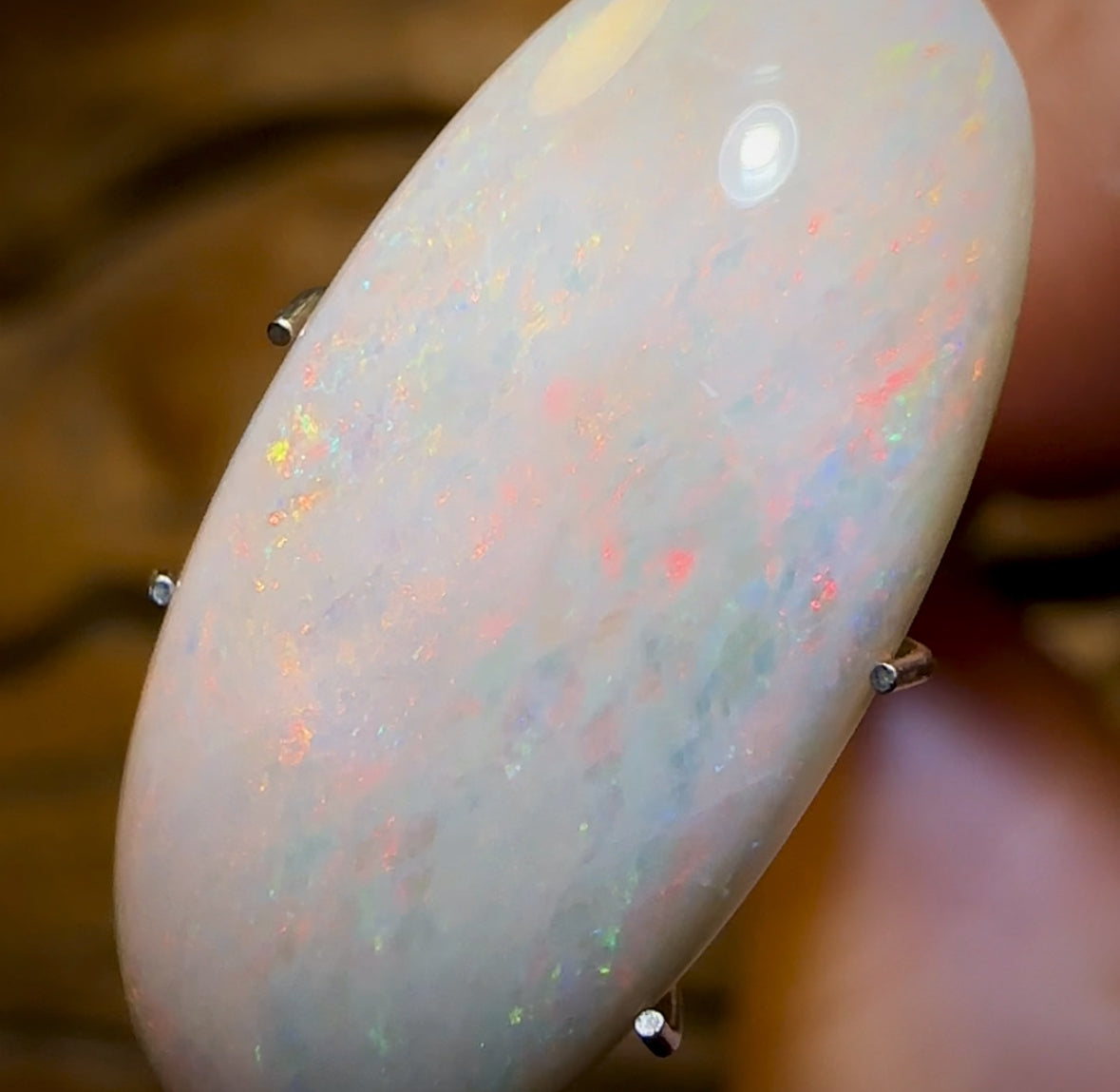5.95cts - South Australian White Opal Big Bargain