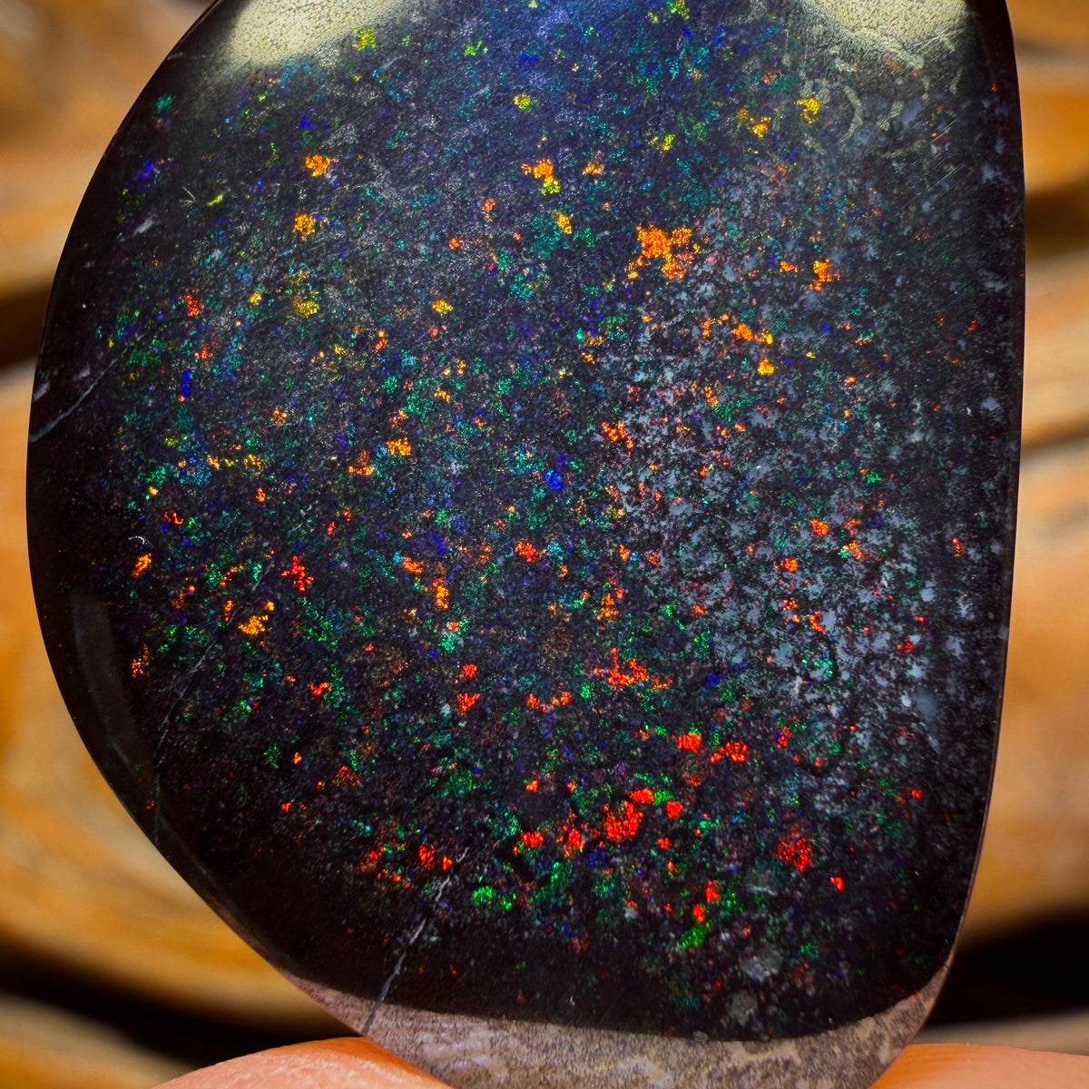 “Set in Stone” - Private Collector Acquisition- “Universe” 39.1cts - Rare Black Boulder Opal from Yowah