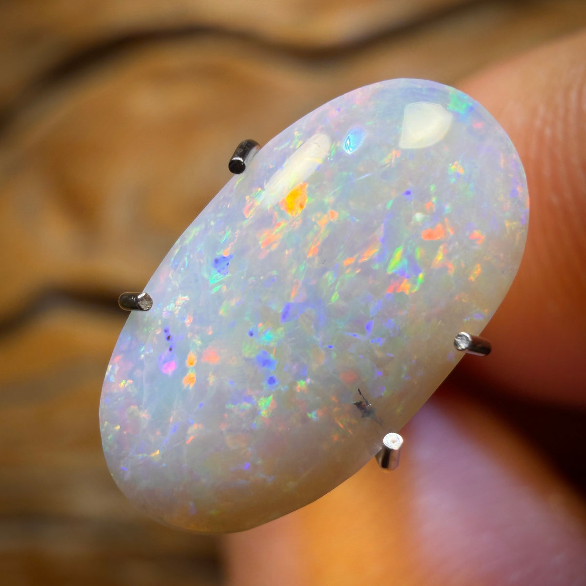 🔨 AUCTION 🔨 1.75cts - Rare Mintabie Australian Dark Opal